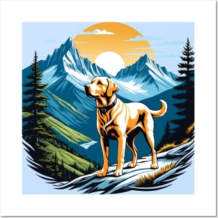 Labrador Dog on Mountain Hike Posters and Art